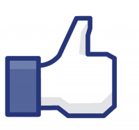 8Ea578Dd033165517966C522Ed1222Bb490F8F14